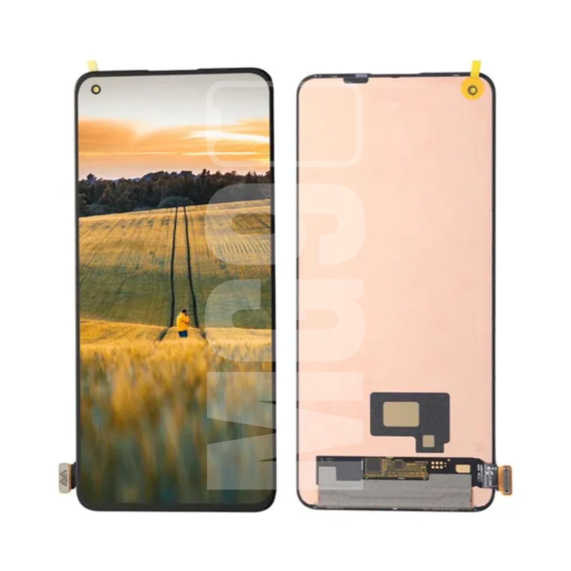 Pantalla Display OnePlus 8T