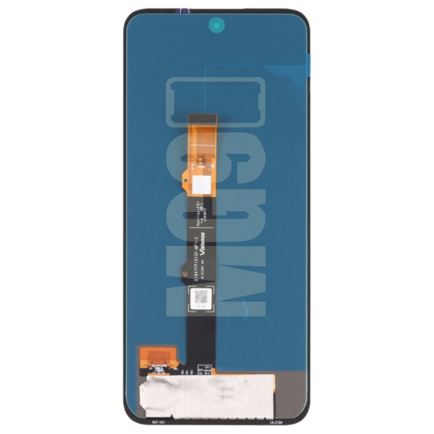 Pantalla Display Motorola Moto G31 / G41 / G71