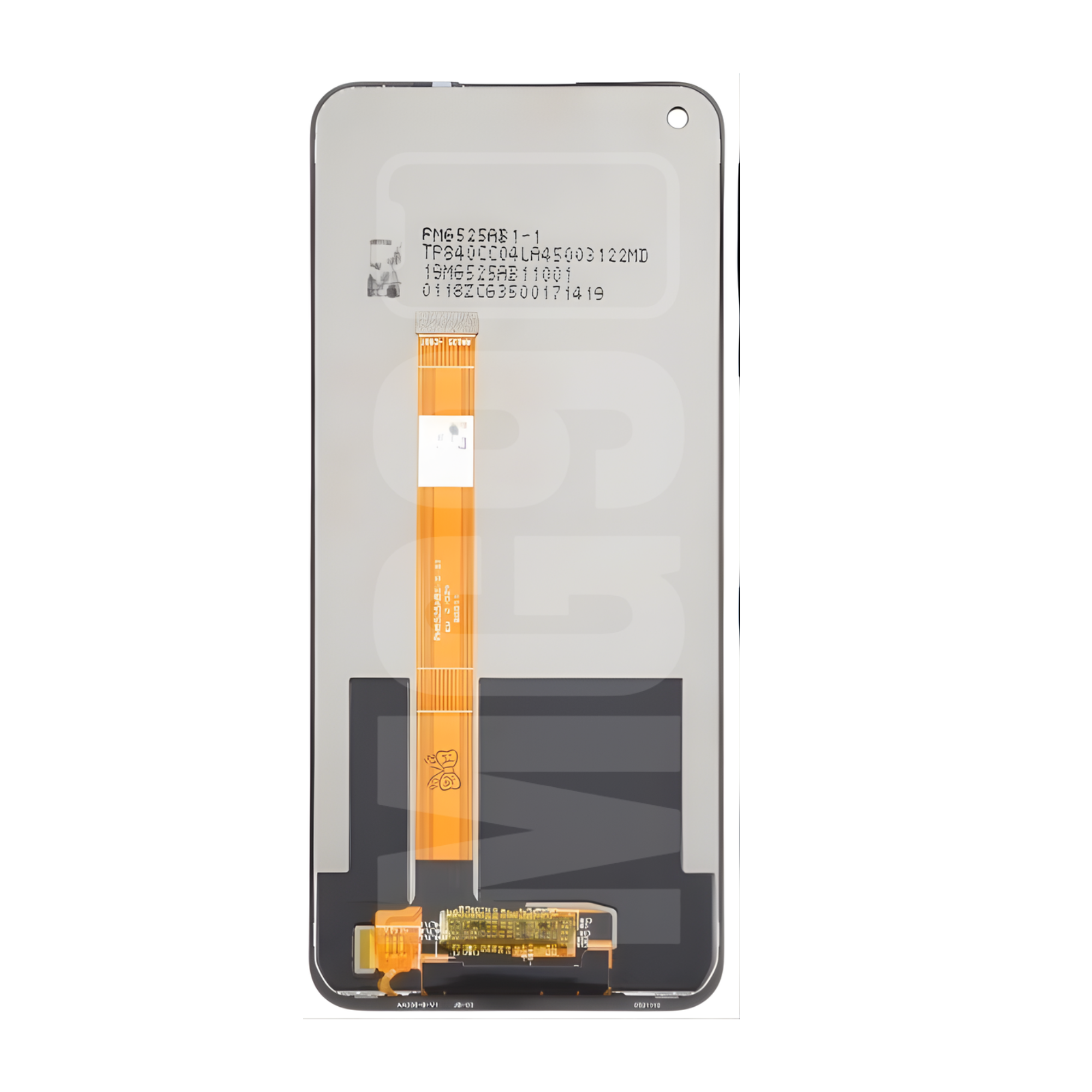 display-oneplus-nord-back