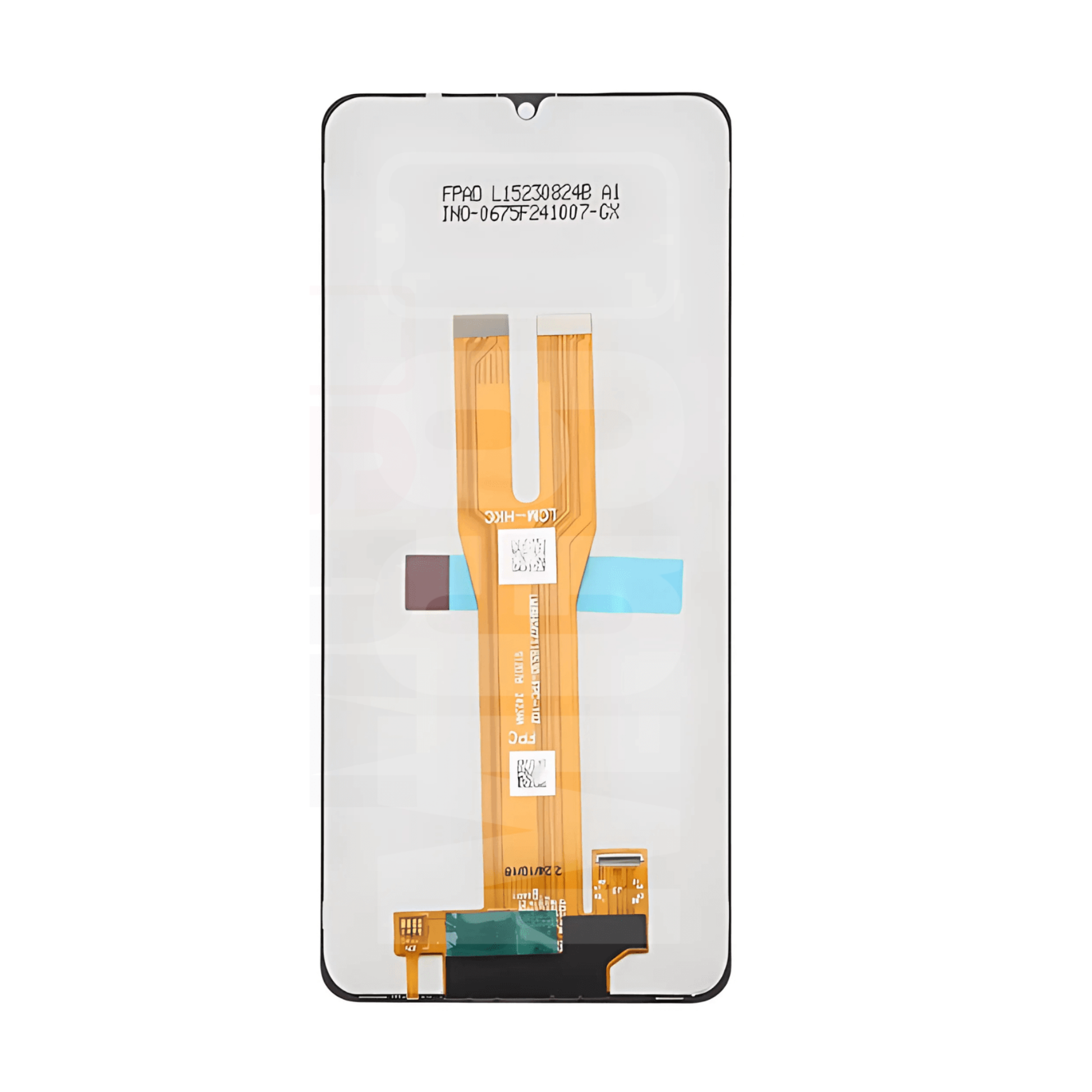 display-samsung-galaxy-a06-back