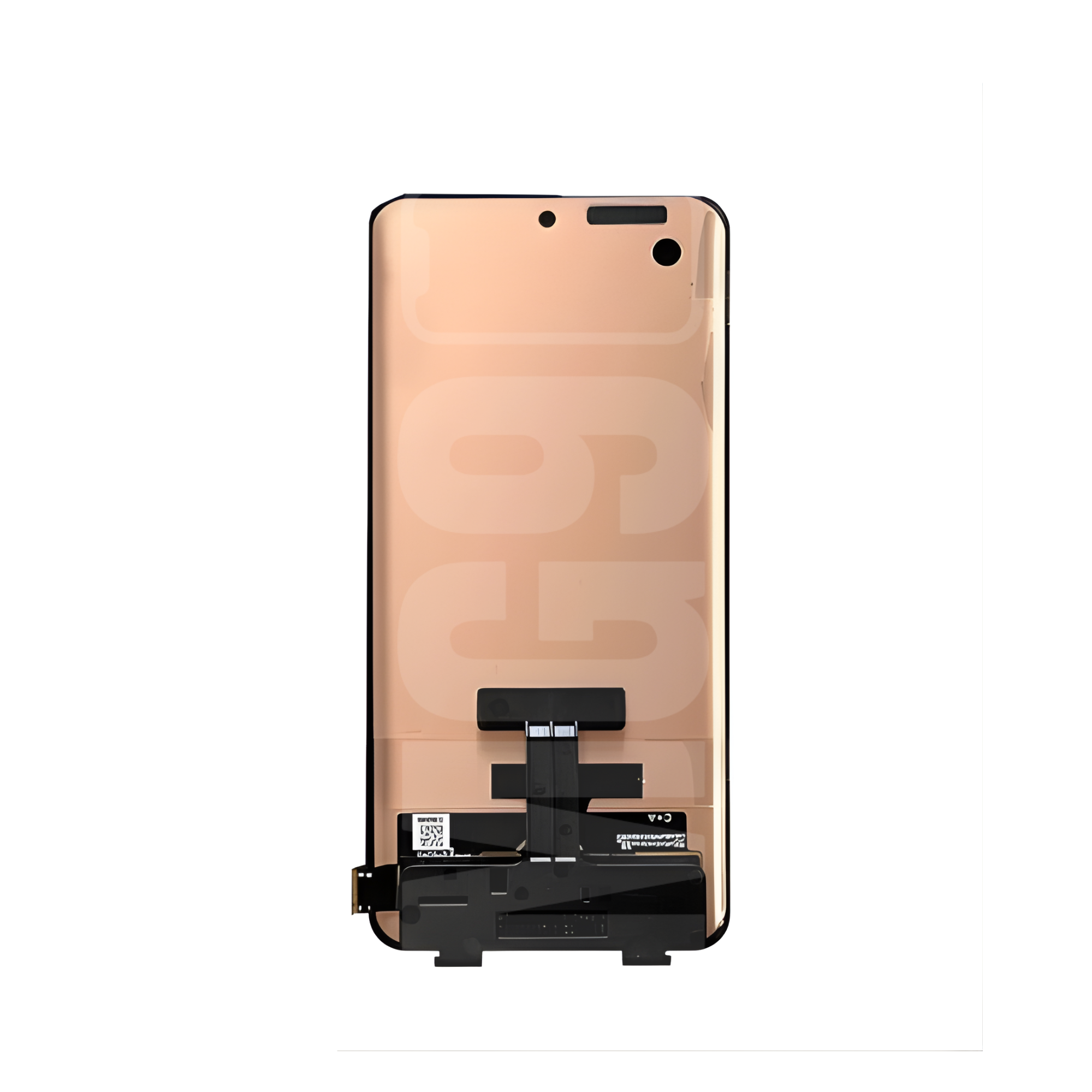 display-xiaomi-12-back