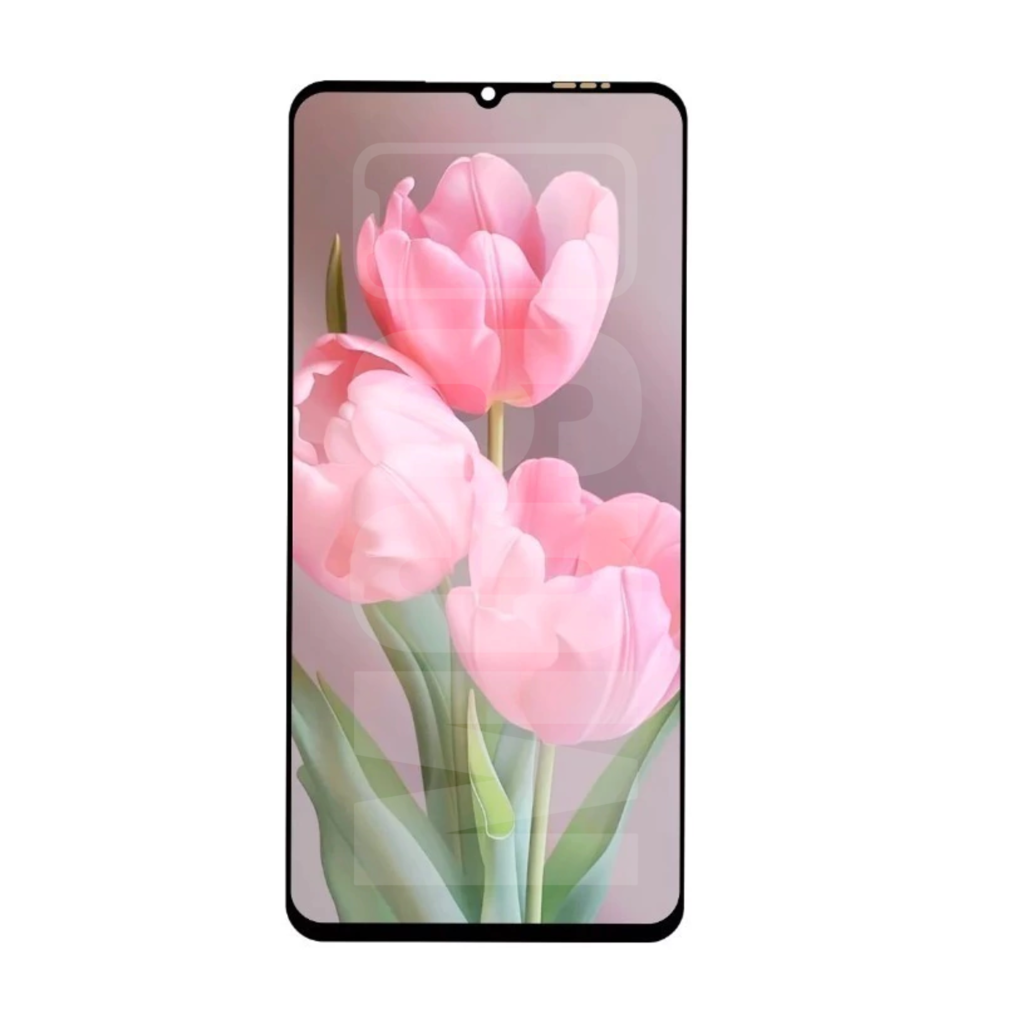 display-zte-axon-54-front